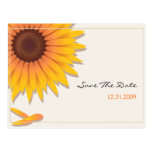 Reserva del boda del girasol la tarjeta de la invi postales