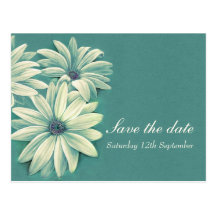 Reserva del boda del osteospermum de la margarita  tarjeta postal