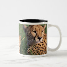 Reserva del juego de África, Kenia, Mara del Masai Taza De Café