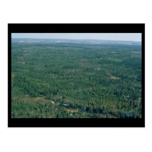 Reserva del nacional de Aroostook Tarjetas Postales