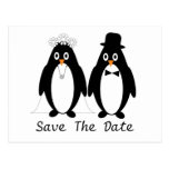 Reserva del pingüino la invitación del boda de la  tarjetas postales