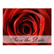 Reserva del rosa rojo la postal de la fecha