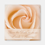 Reserva poner crema elegante del rosa el imán de l