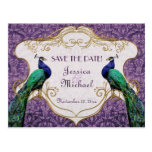 Reserva (púrpura) real del pavo real la postal de 