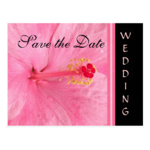Reserva rosada del boda del flor del hibisco la fe tarjeta postal