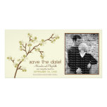 Reserva verde oliva/de marfil de la flor de cerezo tarjeta fotografica personalizada