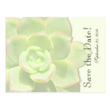 Reserva verde translúcida del Succulent la fecha Postales