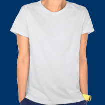 Respete el Álamo camisetas