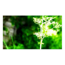 Resplandor de las naturalezas plantilla de tarjeta personal