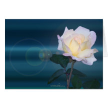 resplandor de los yel_rose_lens tarjetón