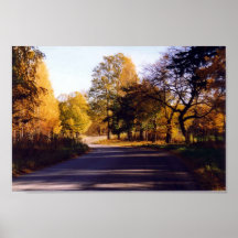 RESPLANDOR DEL OTOÑO POSTERS
