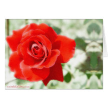 resplandor desactivado del rosa rojo tarjetón