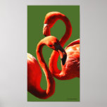 Resplandor en la oscuridad posters