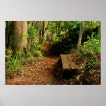 Resto de la selva tropical impresiones