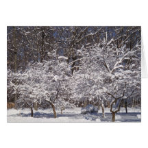 Resultados de la ventisca tarjetas