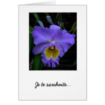 retablissement Francés-pronto Tarjeta