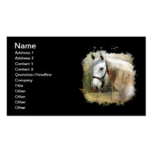 RETRATO ANDALUZ DEL CABALLO PLANTILLAS DE TARJETAS PERSONALES
