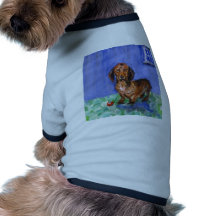 Retrato azul del sitio del Dachshund Ropa De Mascota