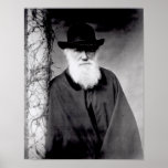 Retrato de Charles Darwin 1881 Poster