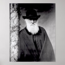 Retrato de Charles Darwin 1881 Poster