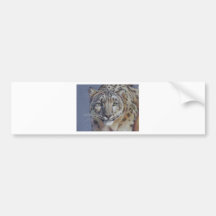 Retrato de la cabeza del tigre etiqueta de parachoque