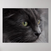 Retrato de Micha Poster