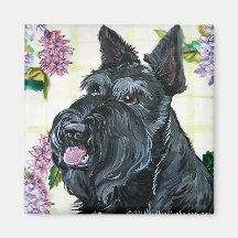 Retrato de Terrier del escocés Iman