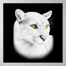 Retrato de un puma poster