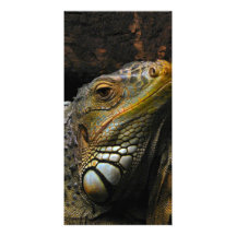 Retrato de una iguana tarjeta fotográfica personalizada