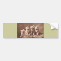 Retrato del gatito del vintage de Aristocrats* del Etiqueta De Parachoque