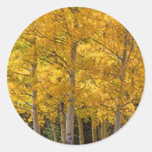 Retrato del oro de Aspen Etiquetas