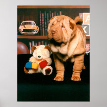 Retrato del perrito de Shar-pei del chino Poster