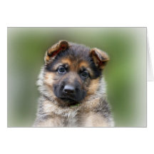 Retrato del perrito tarjetas