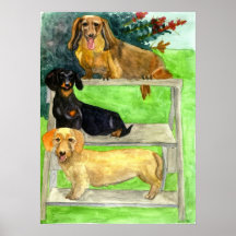 Retrato del perro del Dachshund Impresiones