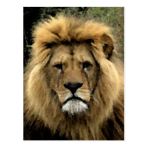 Retrato del Watercolour del león Postales