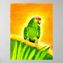 Retrato rojo del pájaro del loro del Amazonas Lore Impresiones
