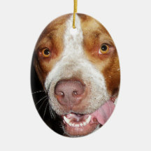 Retrato tonto de Pitbull Adornos