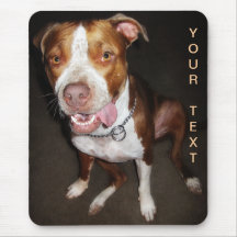 Retrato tonto de Pitbull Alfombrilla De Ratones