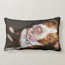 Retrato tonto de Pitbull Almohadas