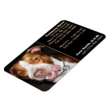 Retrato tonto de Pitbull Iman