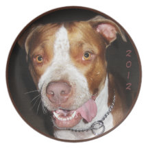 Retrato tonto de Pitbull Plato De Comida