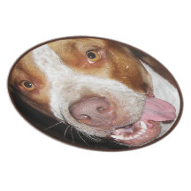 Retrato tonto de Pitbull Platos