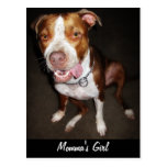 Retrato tonto de Pitbull Tarjeta Postal
