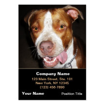 Retrato tonto de Pitbull Tarjetas De Visita