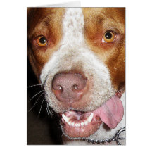Retrato tonto de Pitbull Tarjetón