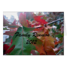 Reunión de familia 2012 felicitación