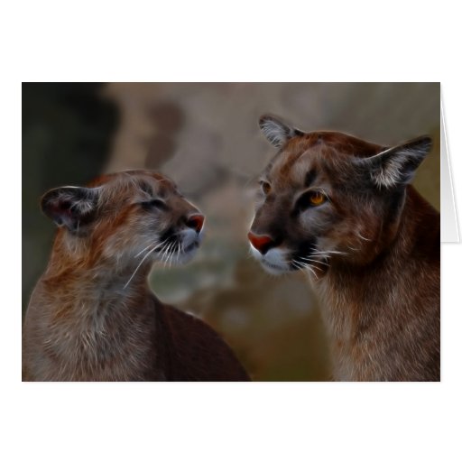 Reverencia de los leones de montaña felicitación