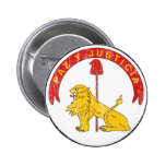 Revés del escudo de armas de Paraguay Pin