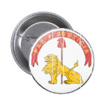 Revés del escudo de armas de Paraguay Pins
