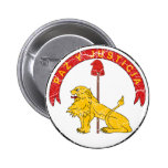 Revés del escudo de armas de Paraguay Pins